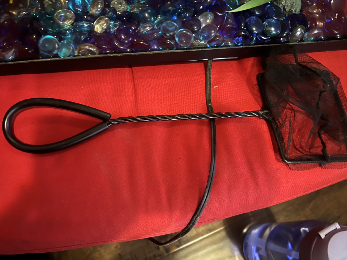 Small Fish Tank with Decorations - photo 4