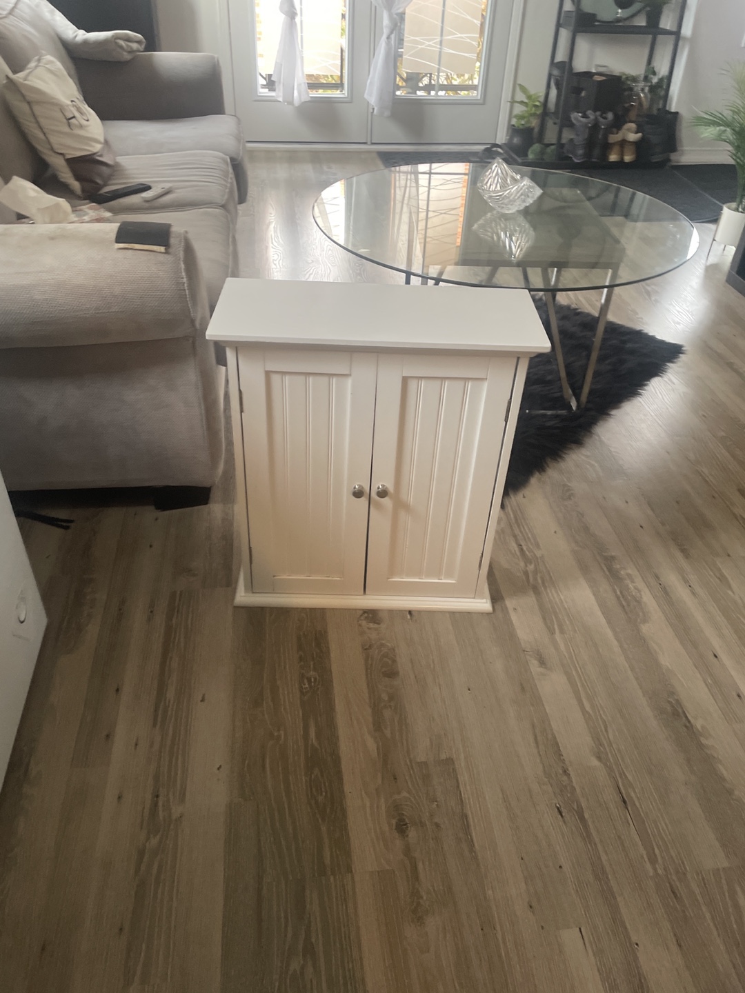 White Cabinet with Two Doors