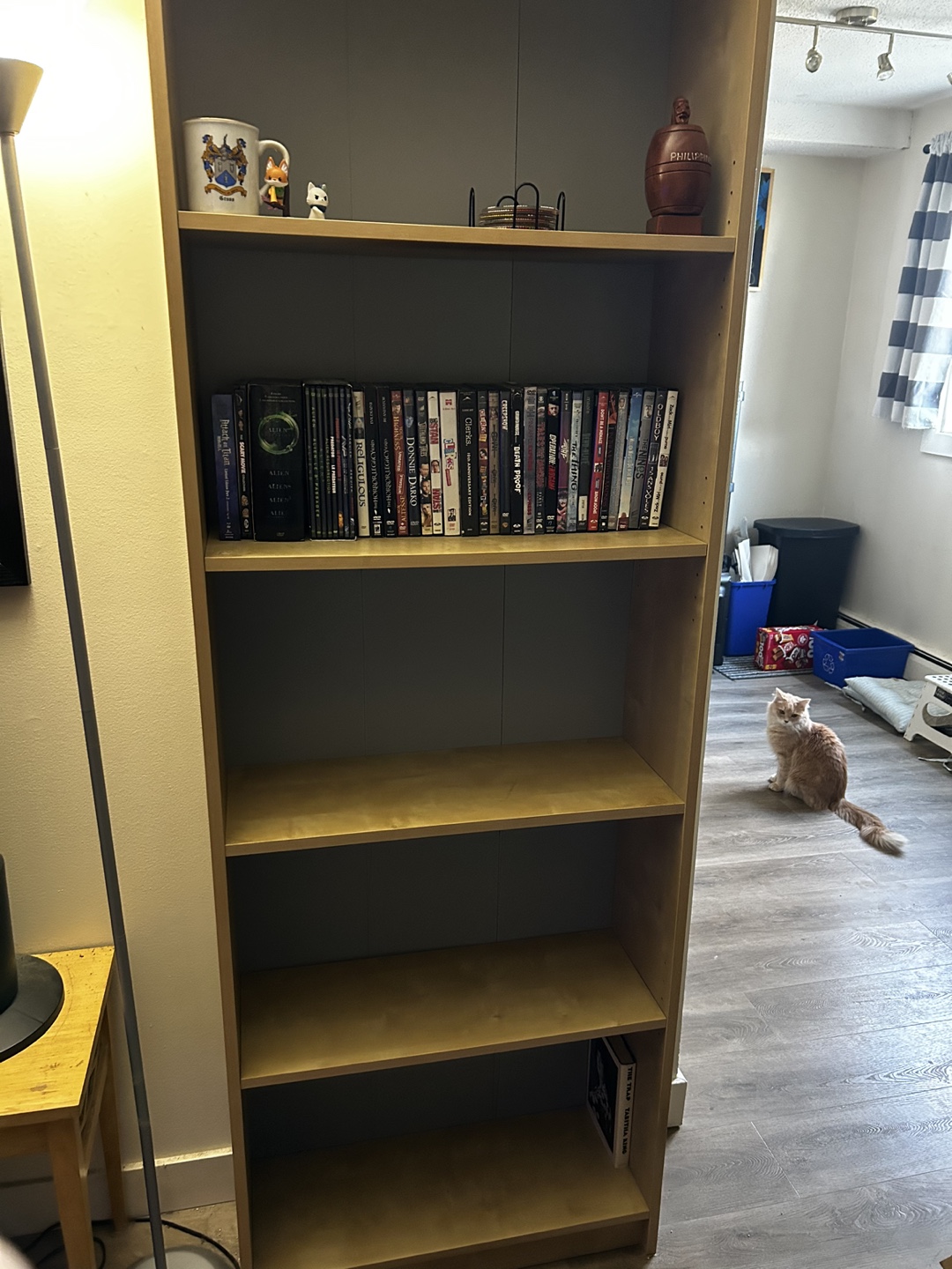 Tall Bookcase