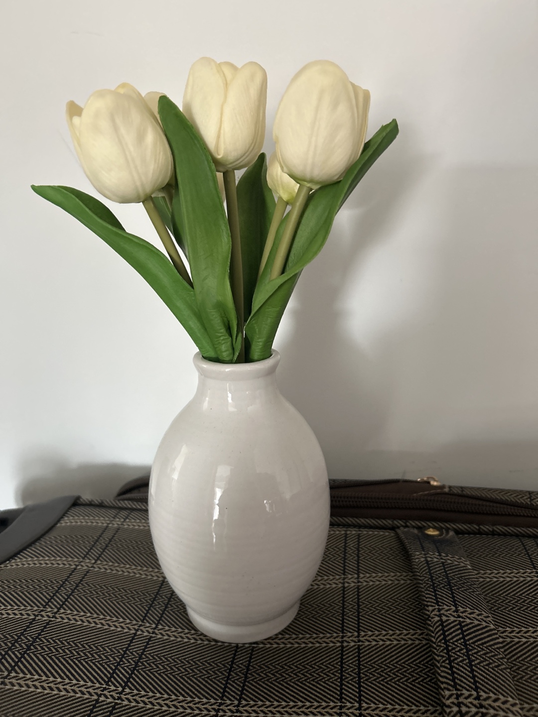 White Tulips in White Vase 🧡