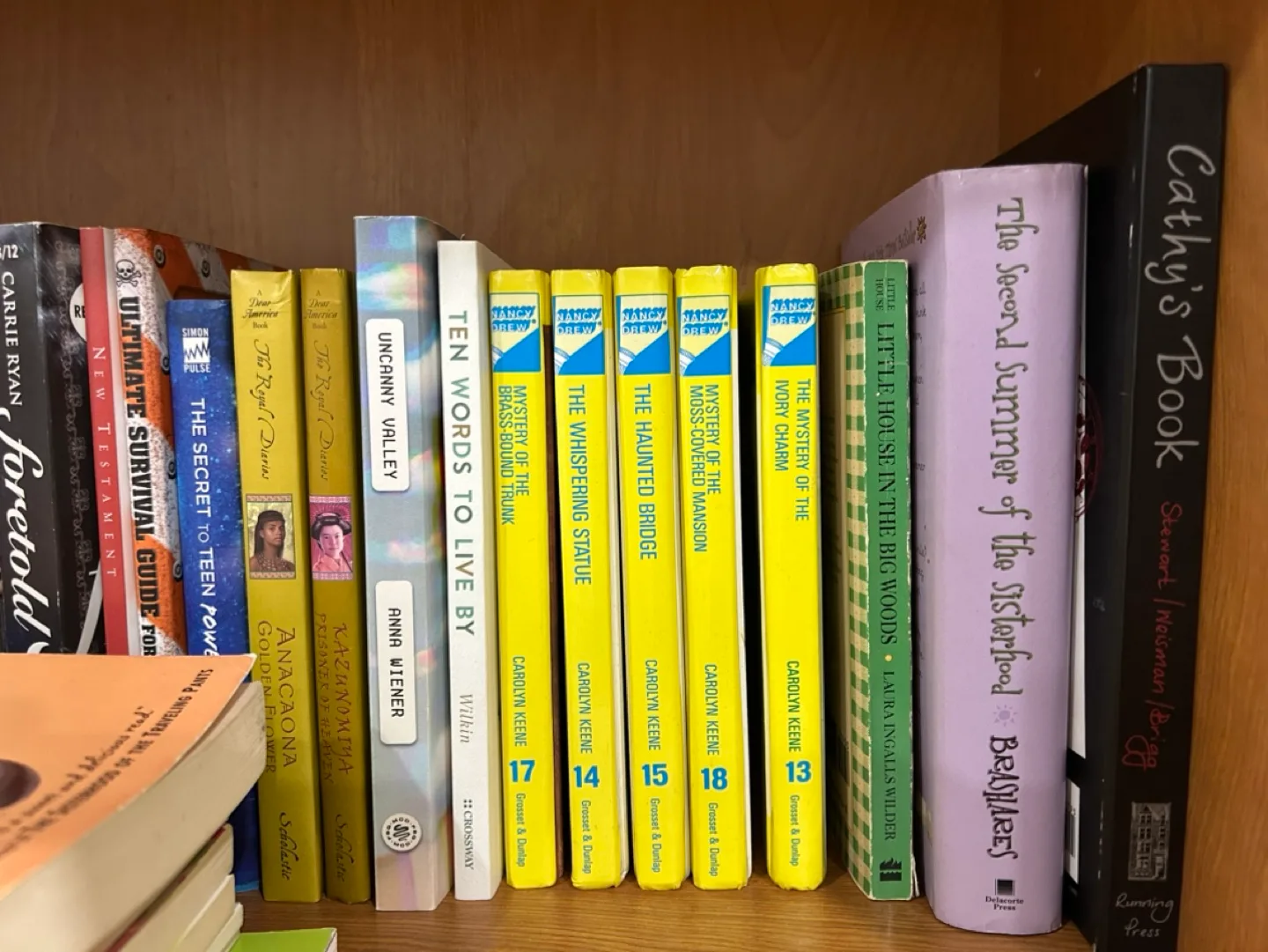 Lot of 20+ Books image indicator(4)