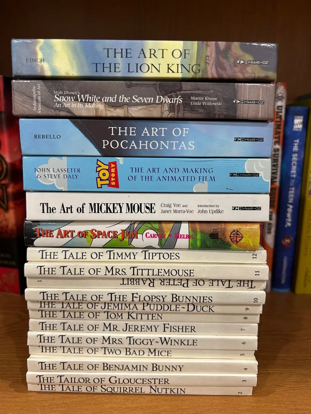 Lot of 20+ Books image indicator(6)