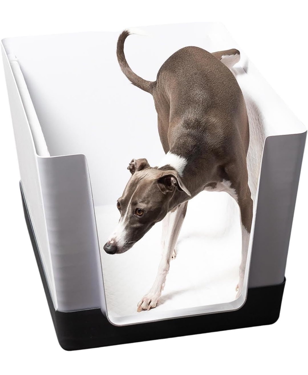 Doggy Bathroom Indoor Dog Potty 🧡