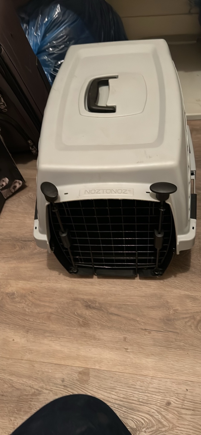 Pet Carrier