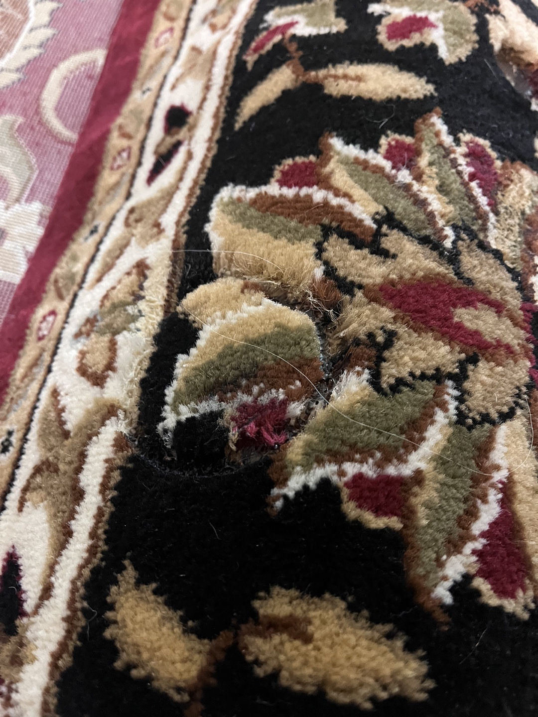 Oriental Rug - photo 3