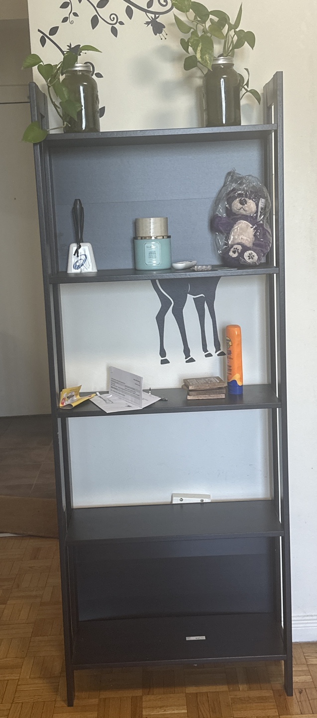 Black 4-Shelf Bookshelf