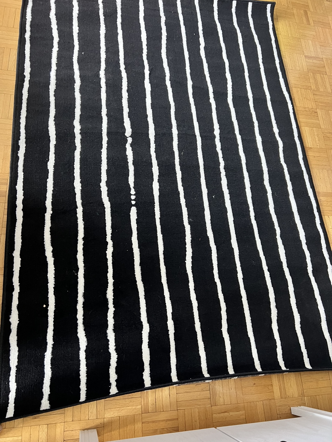 Black and White Striped Rug - photo 2