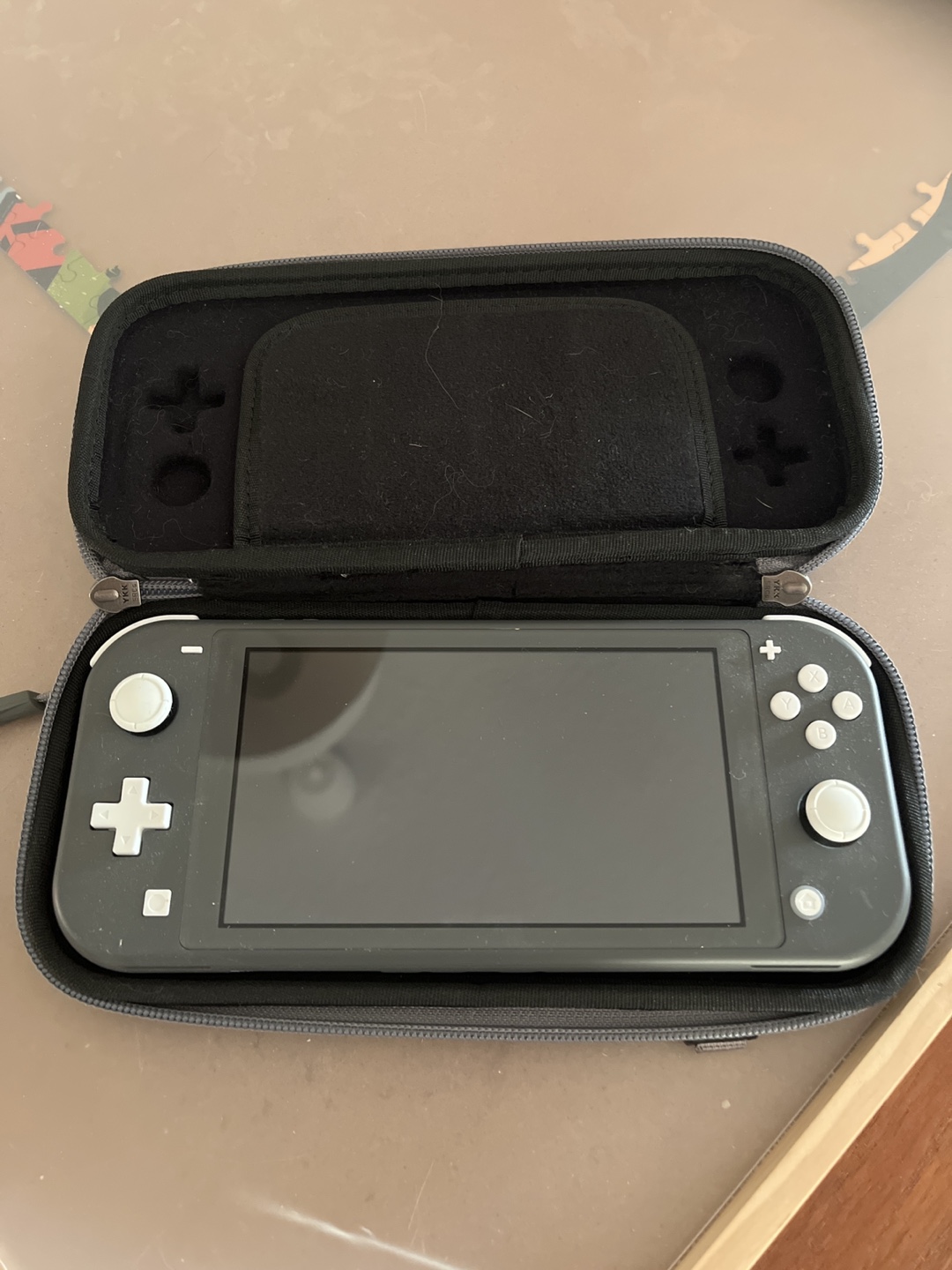 Nintendo Switch Lite with case