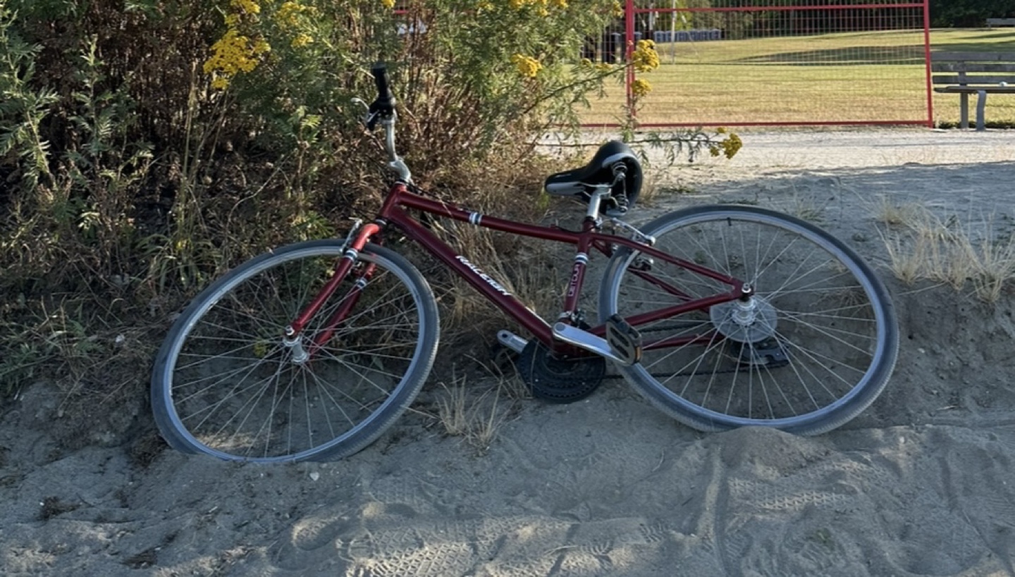 Raleigh women’s city bike