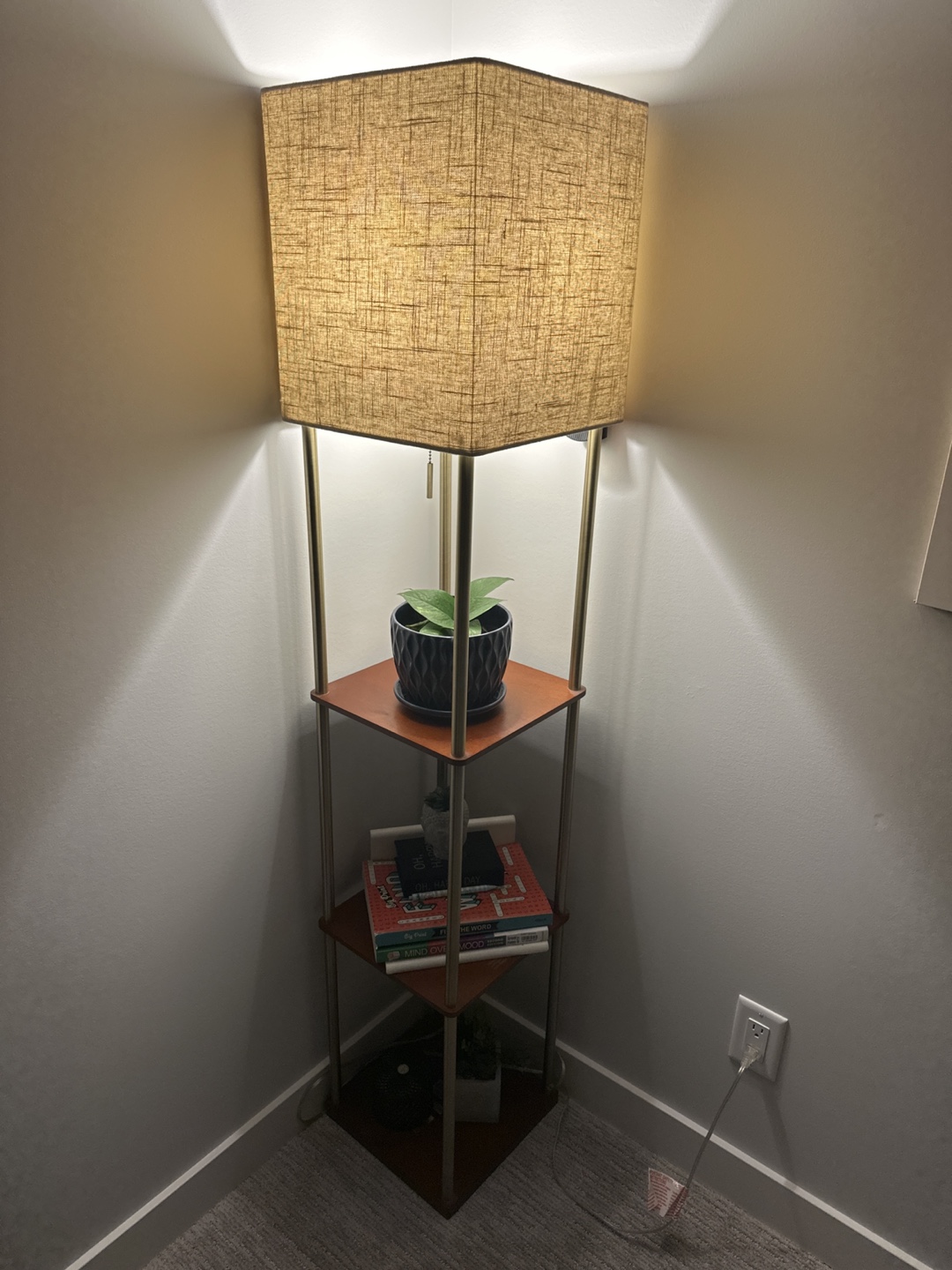 Corner Floor Lamp with Shelf