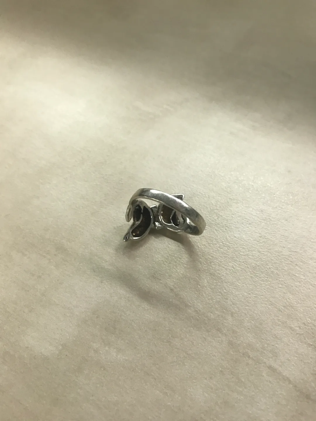 🧡 Dolphin Ring image indicator(4)