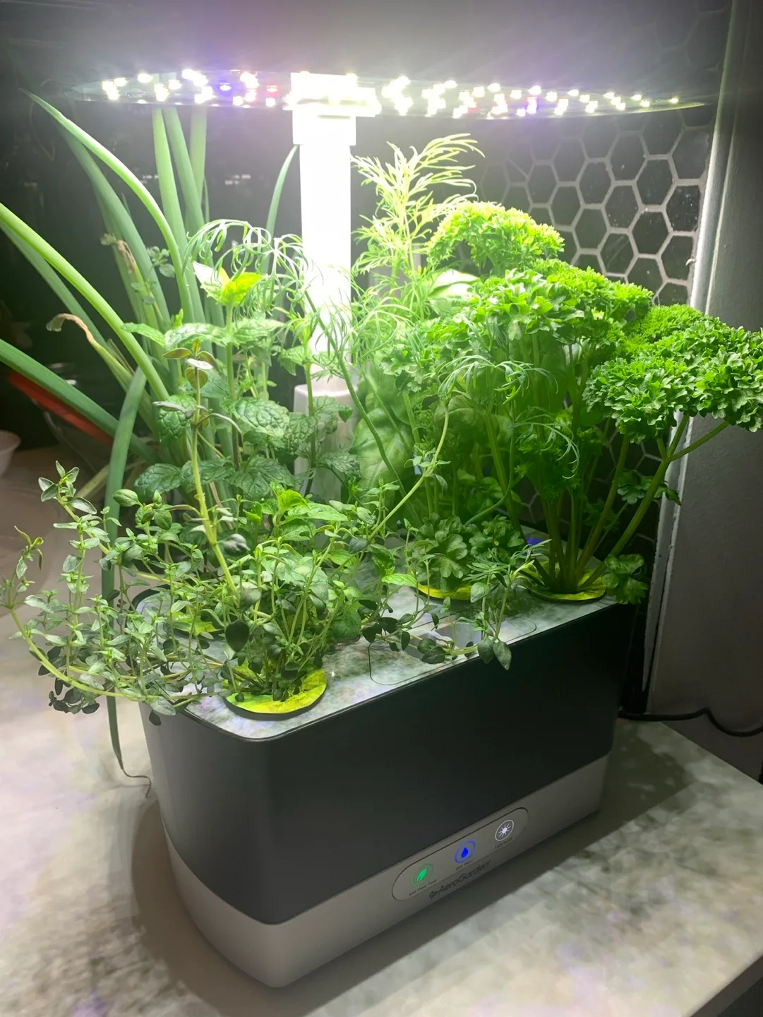 AeroGarden Indoor Herb Garden image indicator(2)