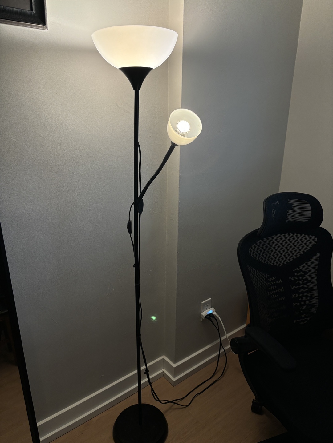 Floor Lamp with Two Lights - photo 2