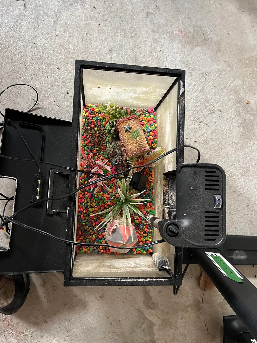 Aquarium Fish Tank with rocks and accessories image indicator(2)