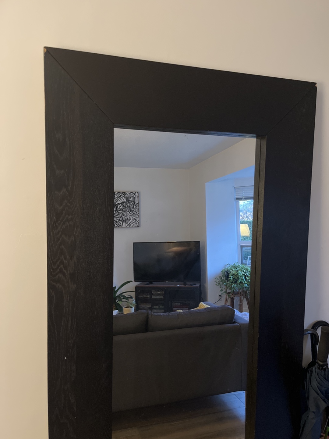 Full-length Mirror with Black Frame