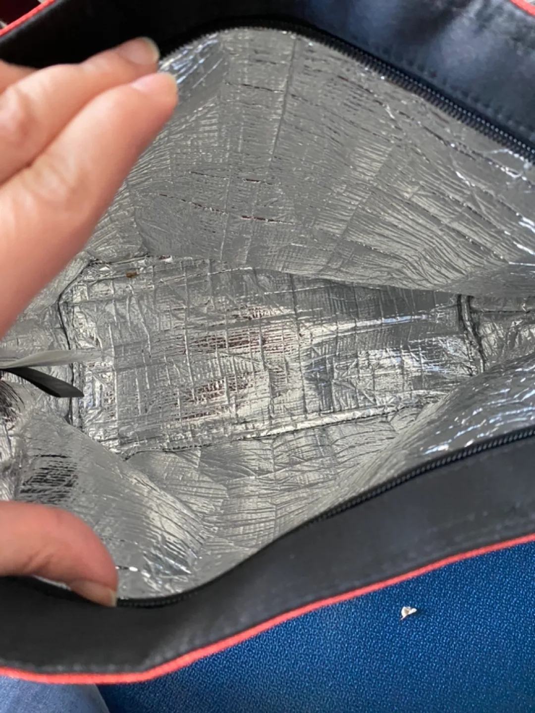 NWT Red insulated lunch bag image indicator(2)