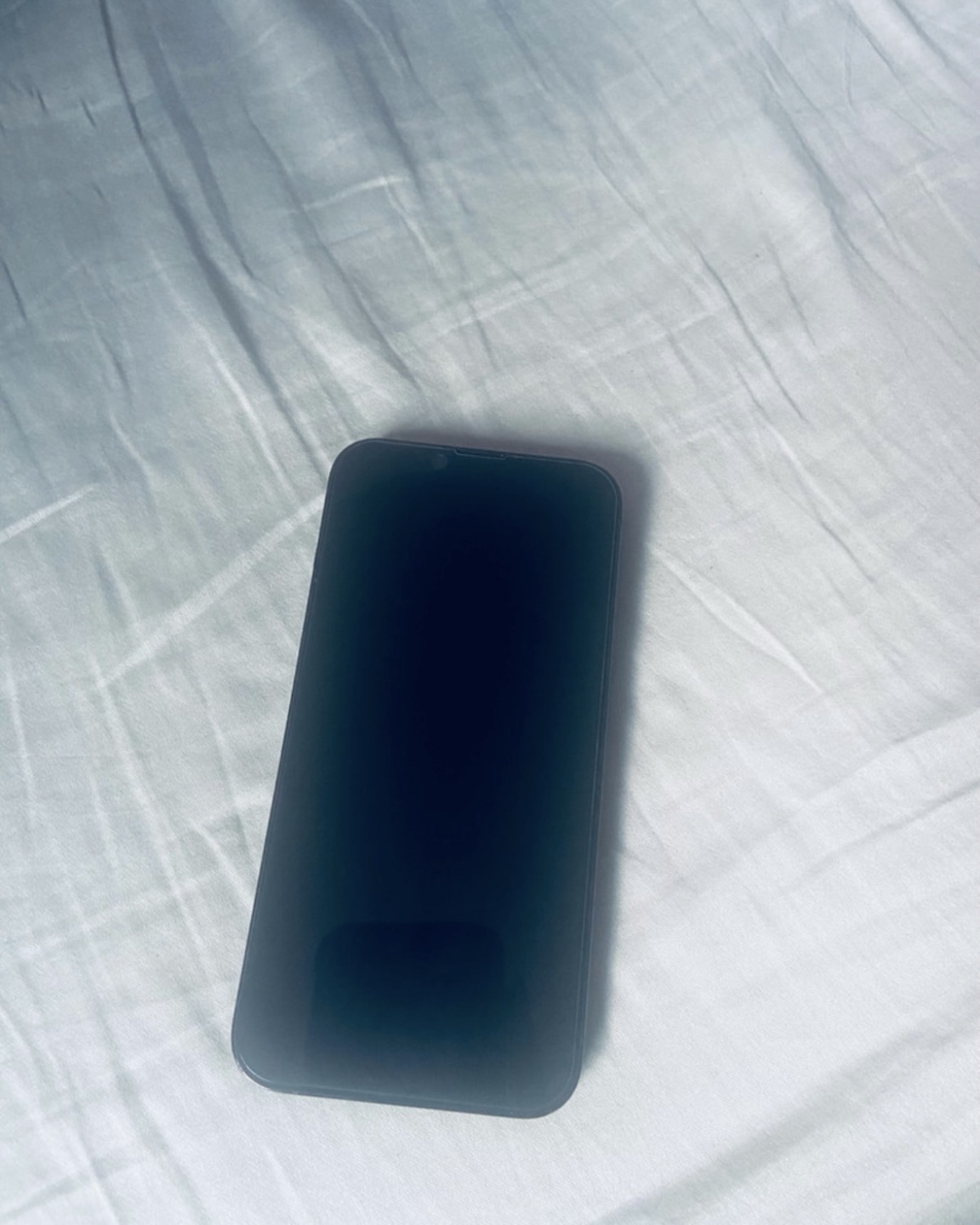 iPhone 13 Pro - photo 4