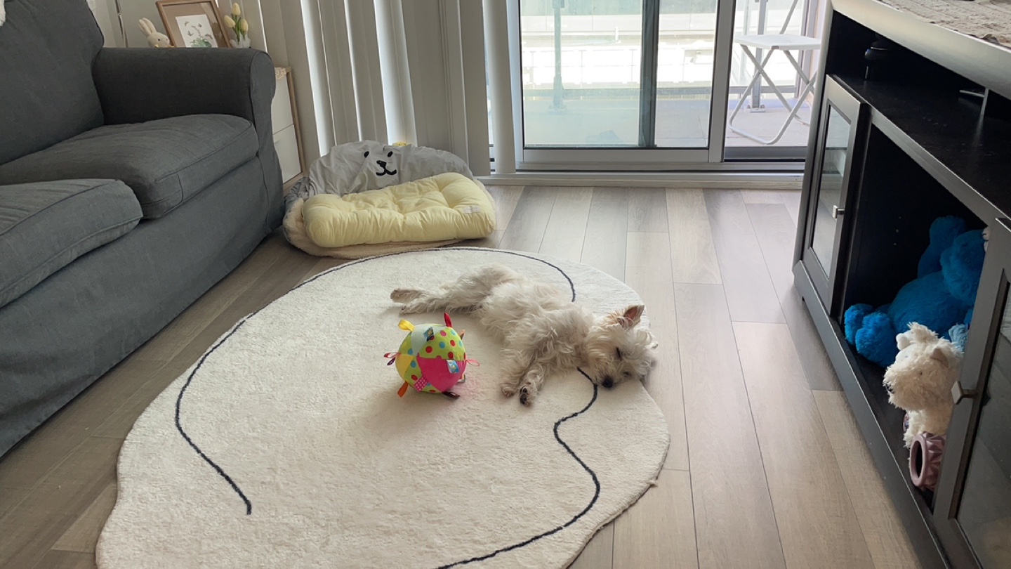 Abstract Area Rug