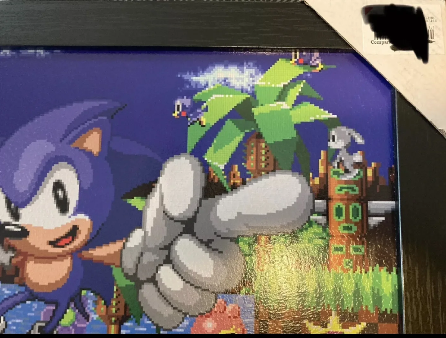 Sonic The Hedgehog Framed Canvas Print image indicator(4)