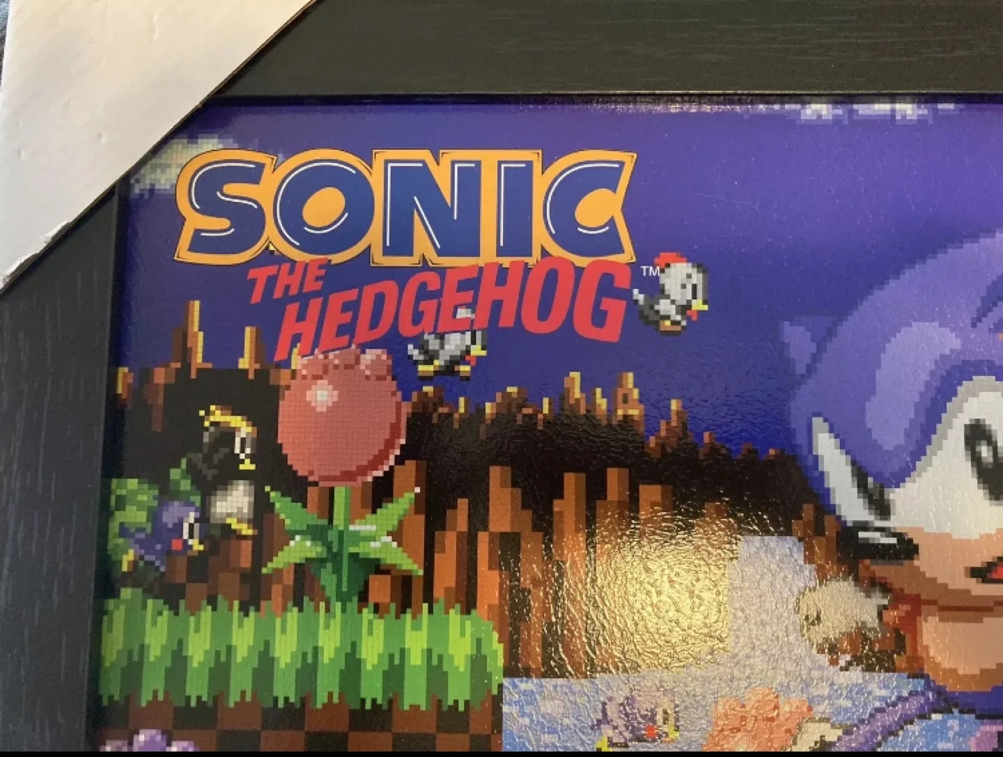 Sonic The Hedgehog Framed Canvas Print image indicator(2)