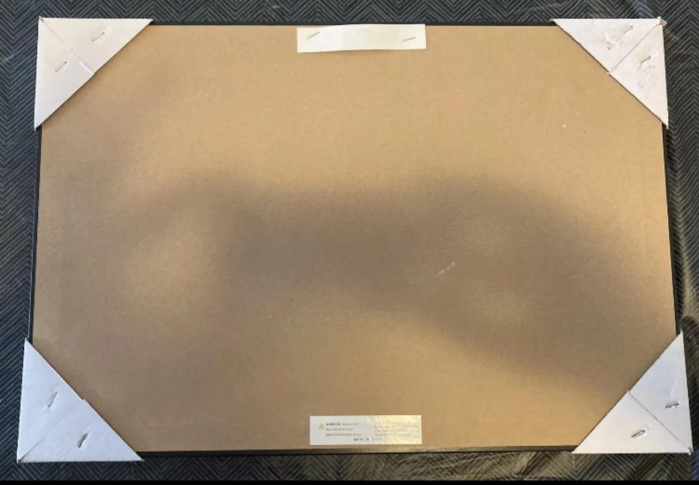 Sonic The Hedgehog Framed Canvas Print image indicator(7)