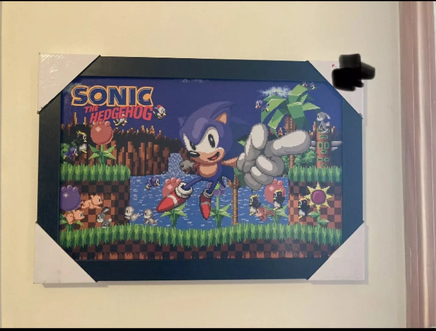 Sonic The Hedgehog Framed Canvas Print image indicator(9)