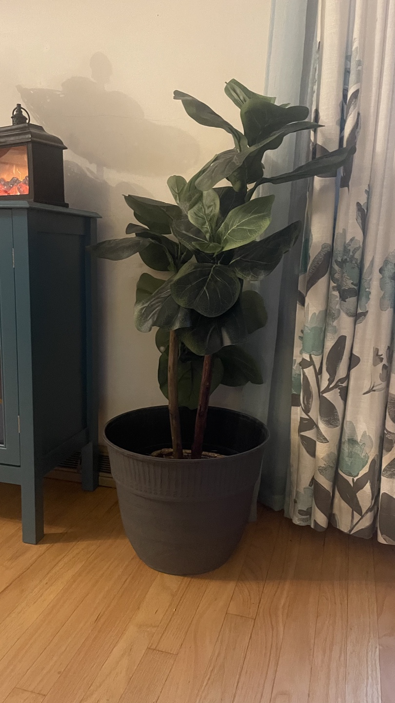 Big pot ( plant not included )