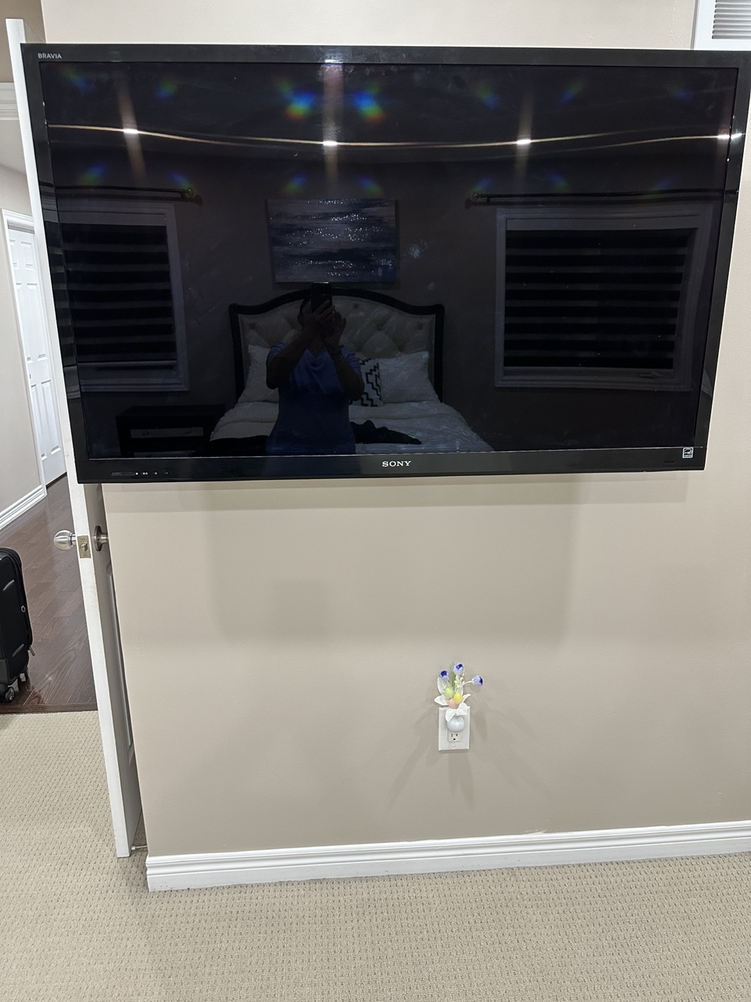 Sony Bravia TV