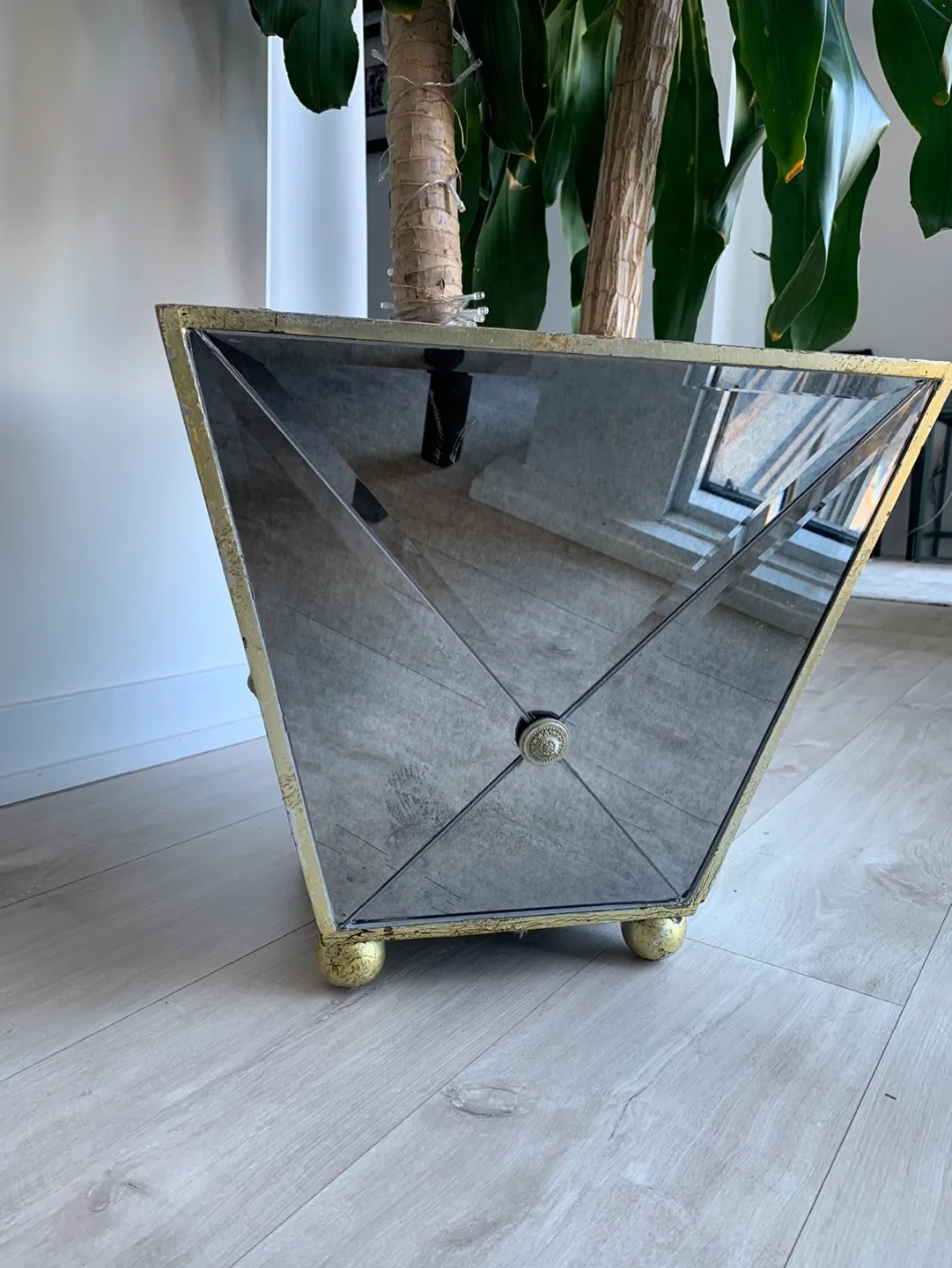 Mirrored Plant Pot image indicator(2)