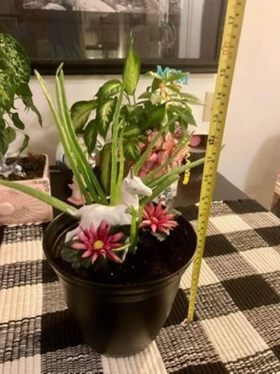 Aloe Vera Plant with Unicorn Figurine image indicator(3)