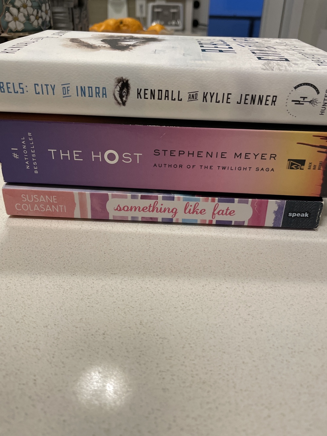 3 Books - The Host, Something Like Fate, Rebels City Of Indra