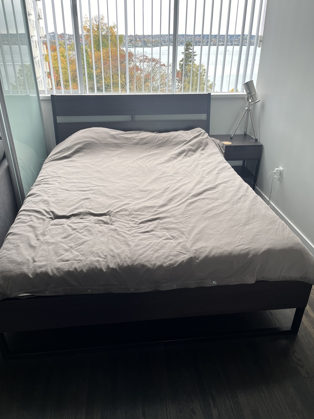 Queen Bed Frame + mattress