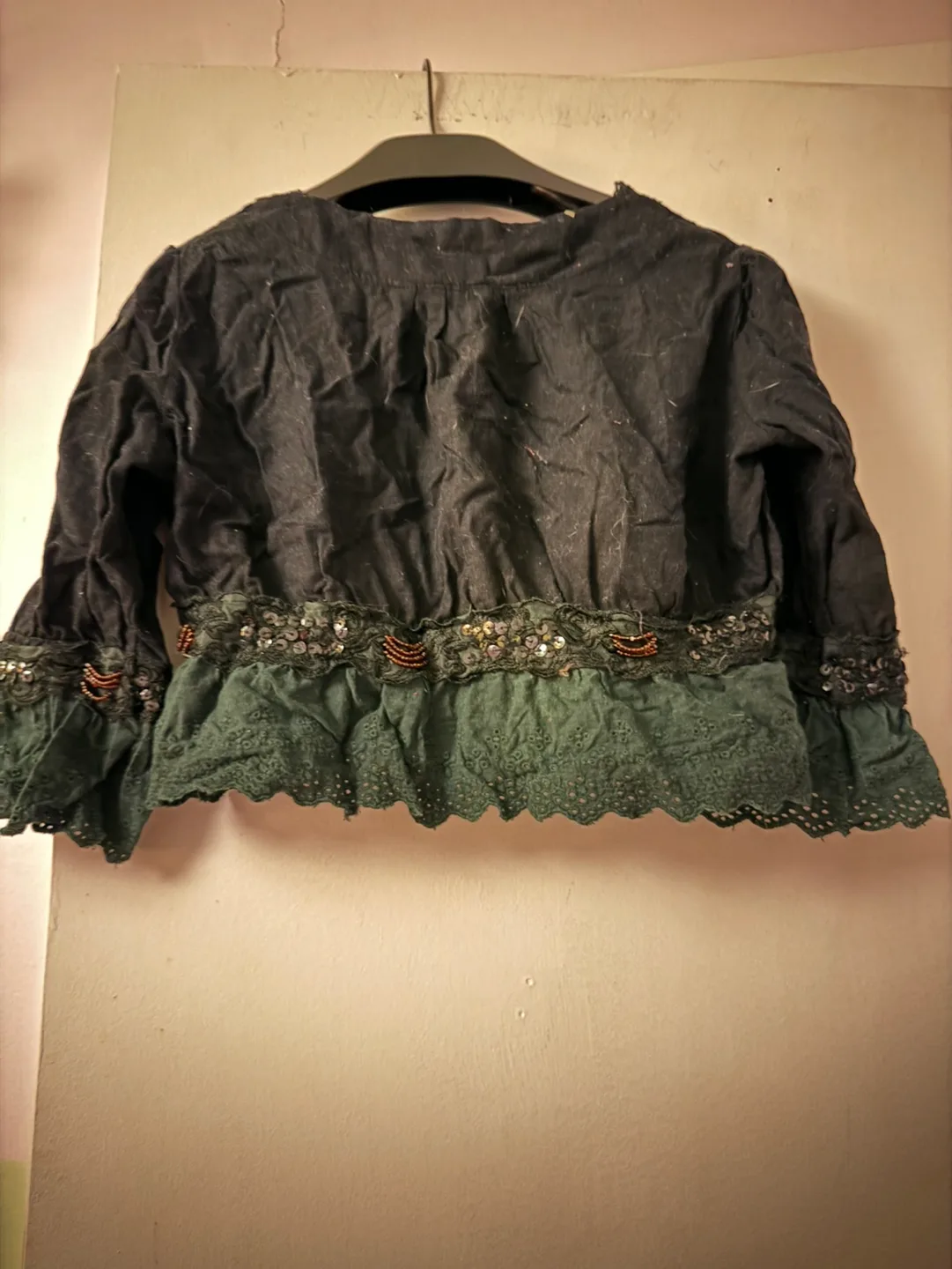 Black and green embroidered crop top image indicator(2)