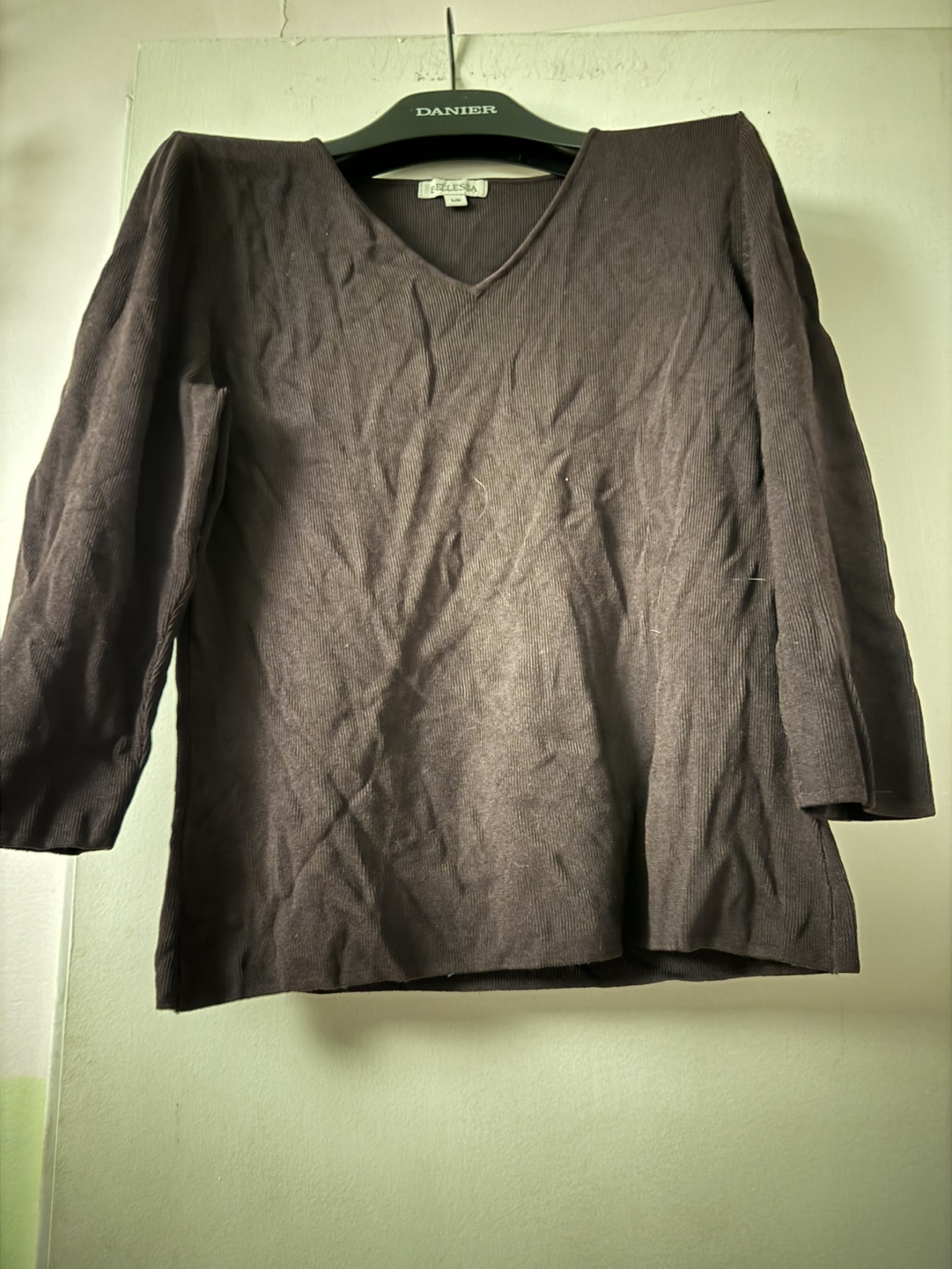 Brown Long Sleeve V-Neck Top