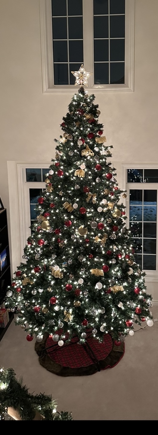 12 Ft Christmas Tree