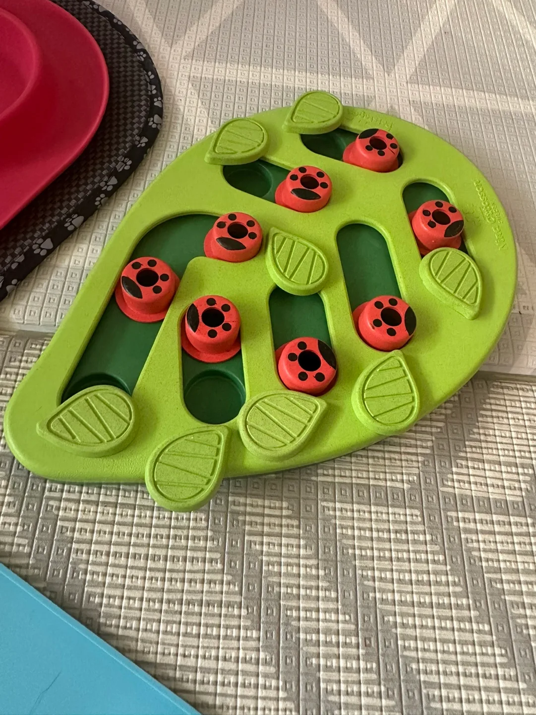 Bundle of very high quality cat items! image indicator(9)