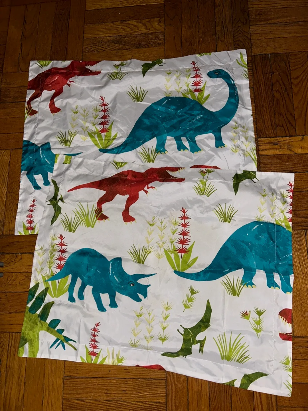 Two Large Dinosaur Sham Pillowcases ❤️ thumbnail