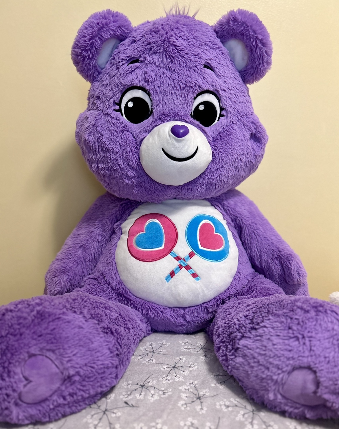 Care Bears Plush Toy - Lotsa Heart  - Purple