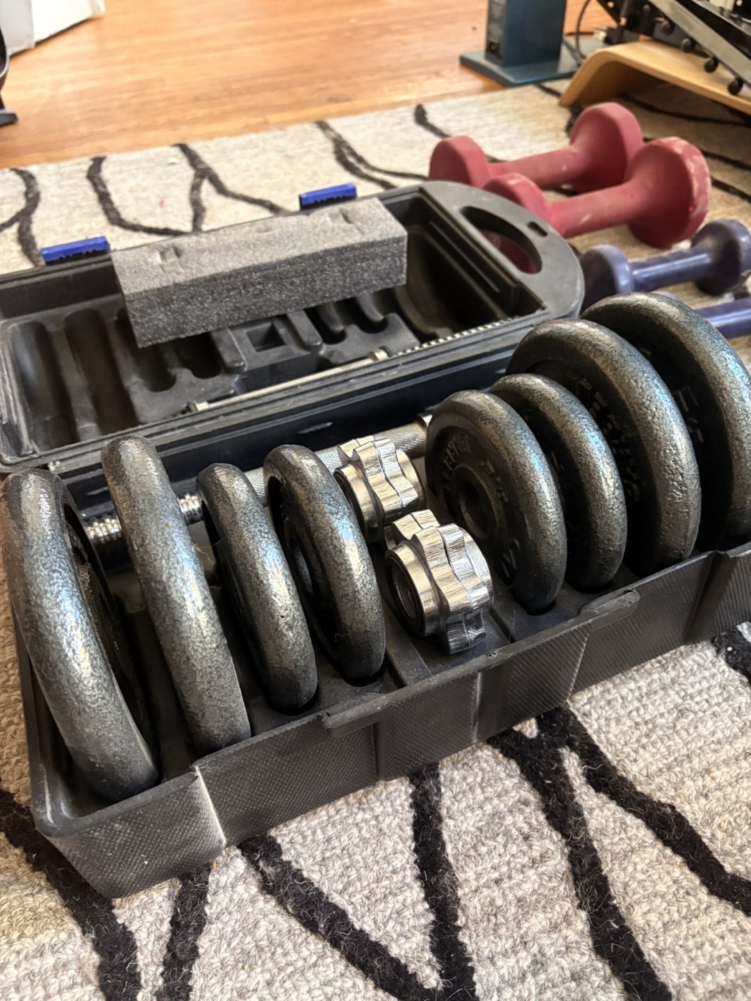 Dumbbell Weight Set (40lbs)