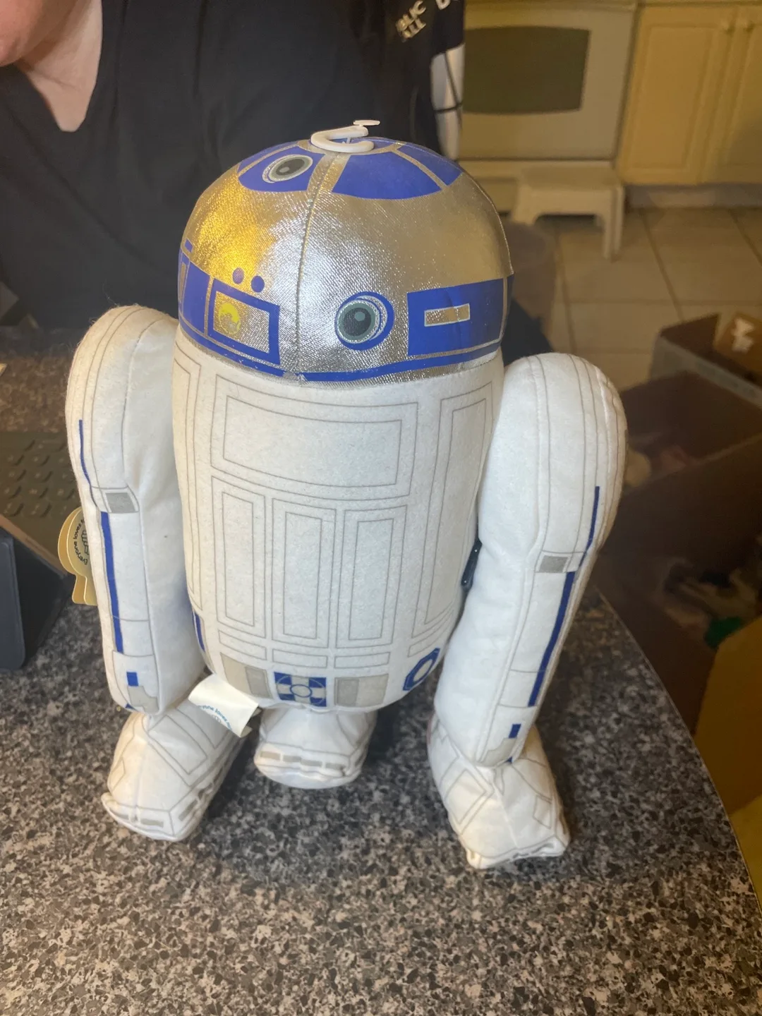 Star Wars R2-D2 Plush Toy image indicator(2)