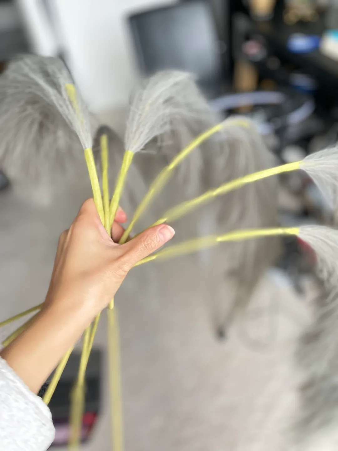 Pampas Grass image indicator(3)