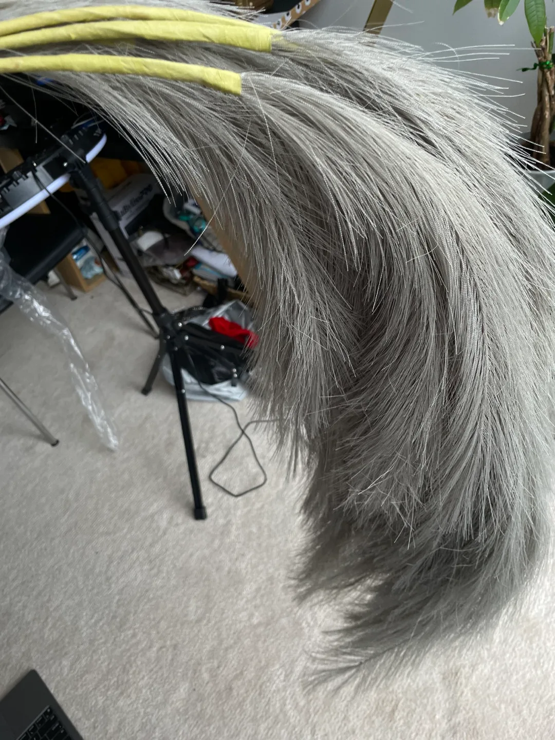 Pampas Grass image indicator(2)