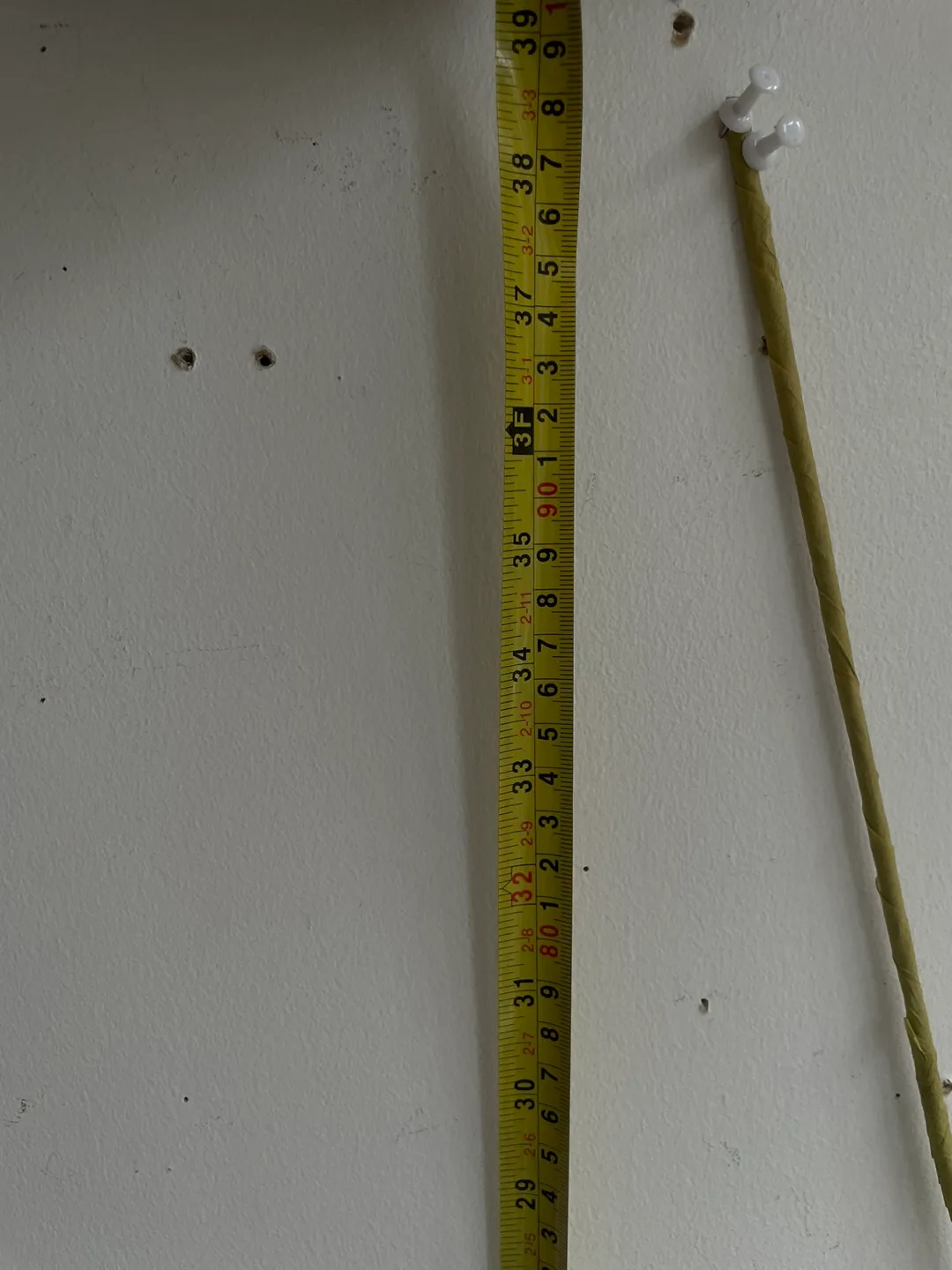 Pampas Grass image indicator(4)