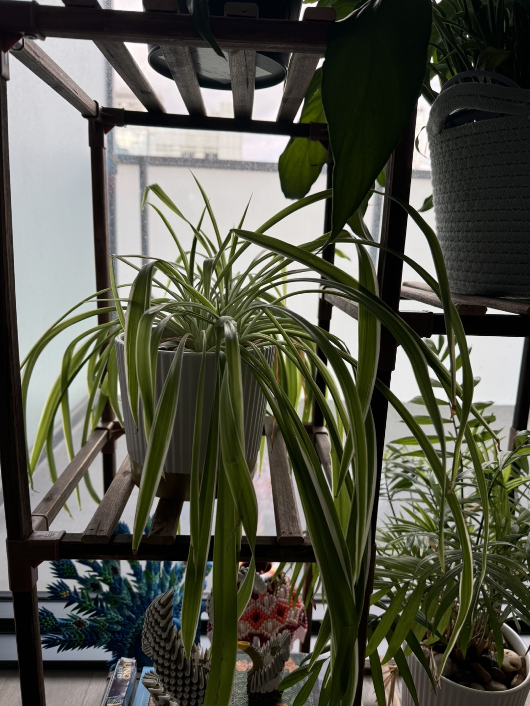 Wooden Plant Stand + 2 plants + 2 vase 🧡 - photo 3