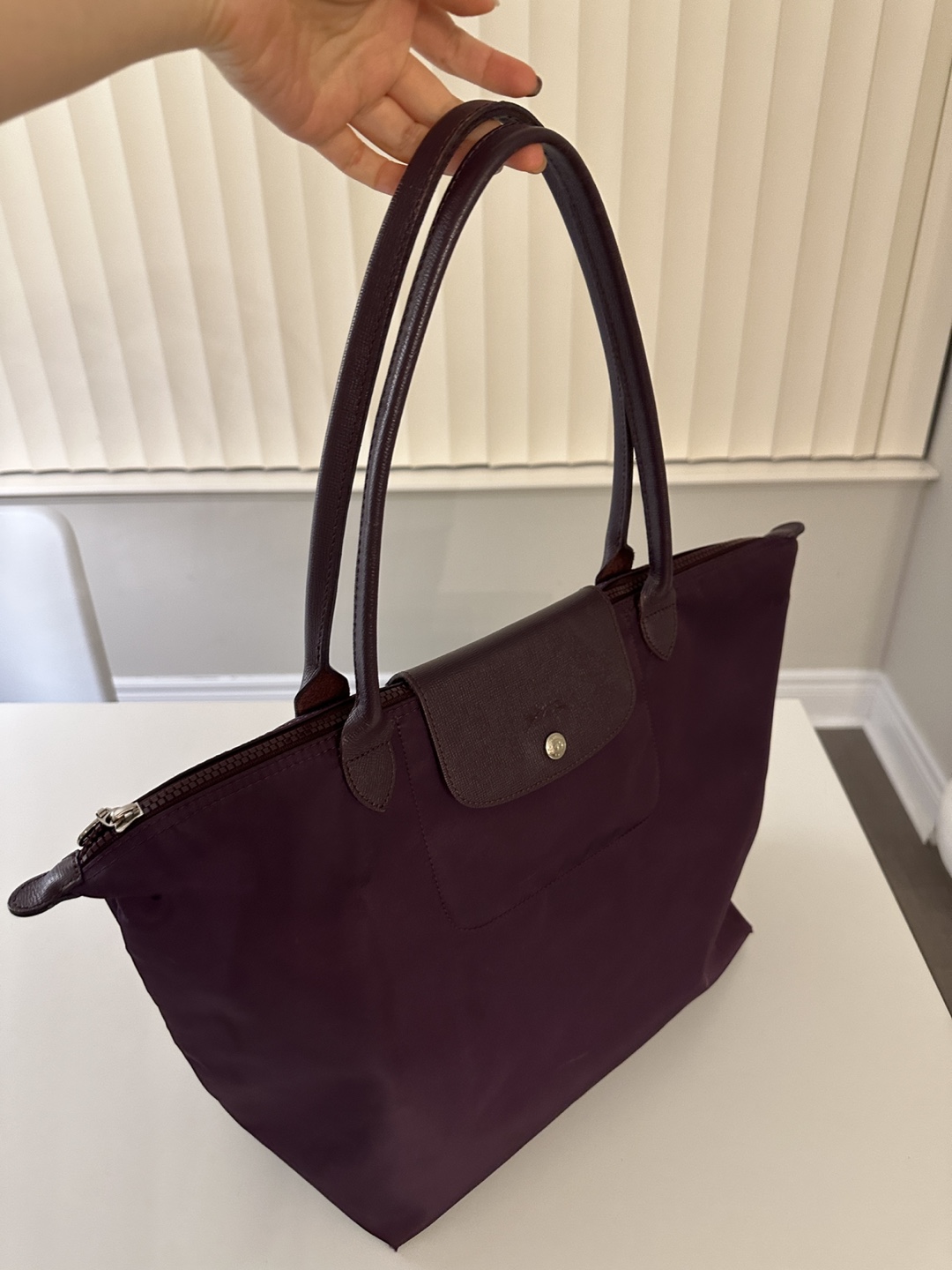 Longchamp Le Pliage Tote Bag - photo 4