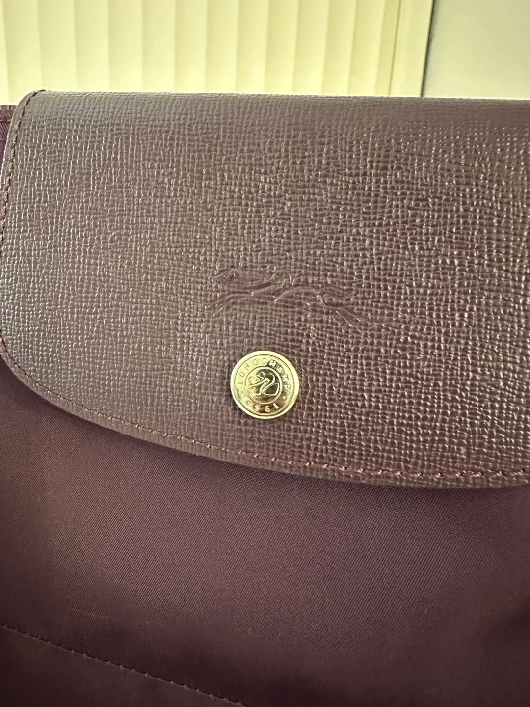 Longchamp Le Pliage Tote Bag image indicator(7)