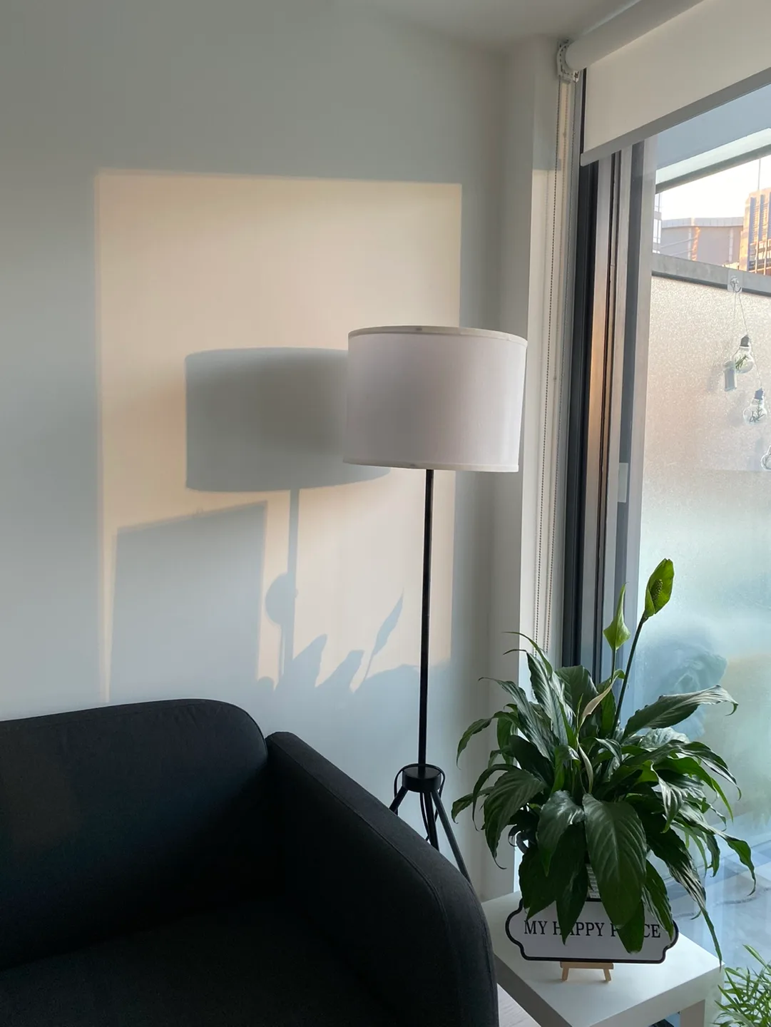 Peace Lily Plant + free vase🧡 image indicator(2)