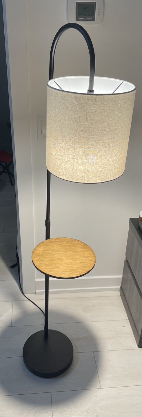 Floor Lamp with Side Lamp
