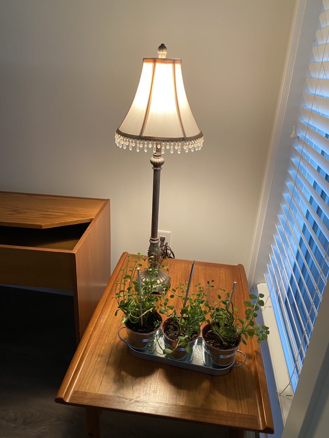Table Lamp with Crystal Accents