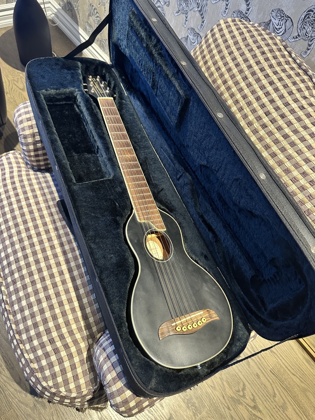 Travel Guitar - Washburn Rover